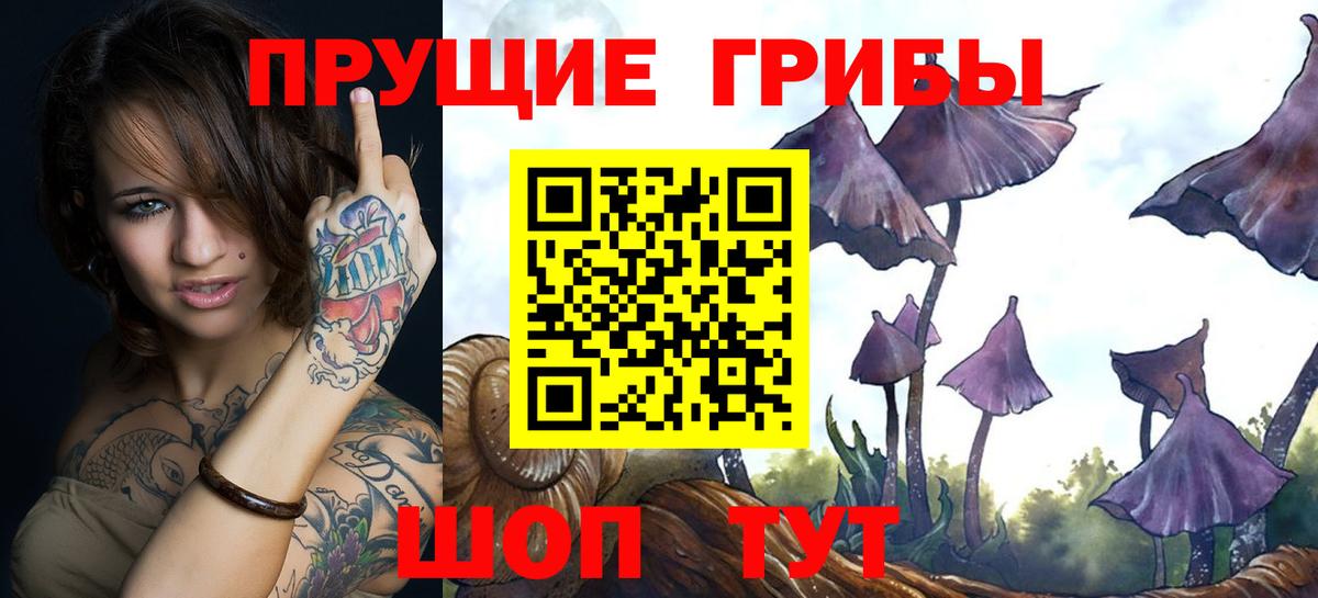 Дивногорск  Галлюциногенные грибы MAGIC MUSHROOMS  Вход с VPN 